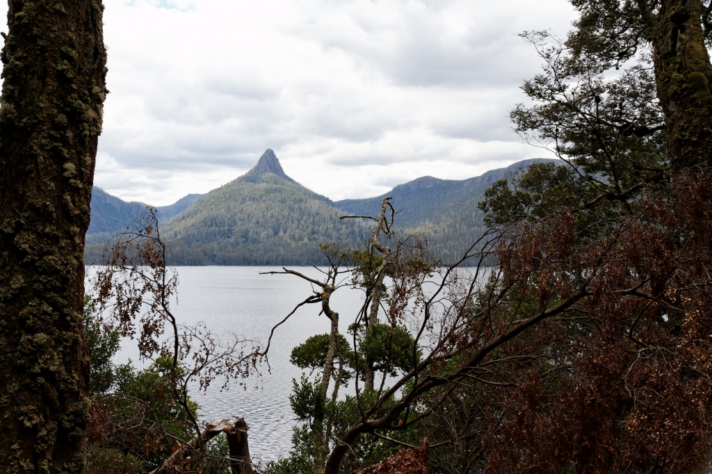 19 - Lake St Clair NP (14).jpg